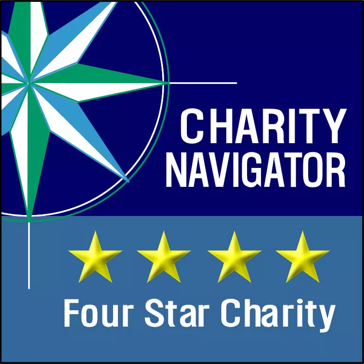 four star