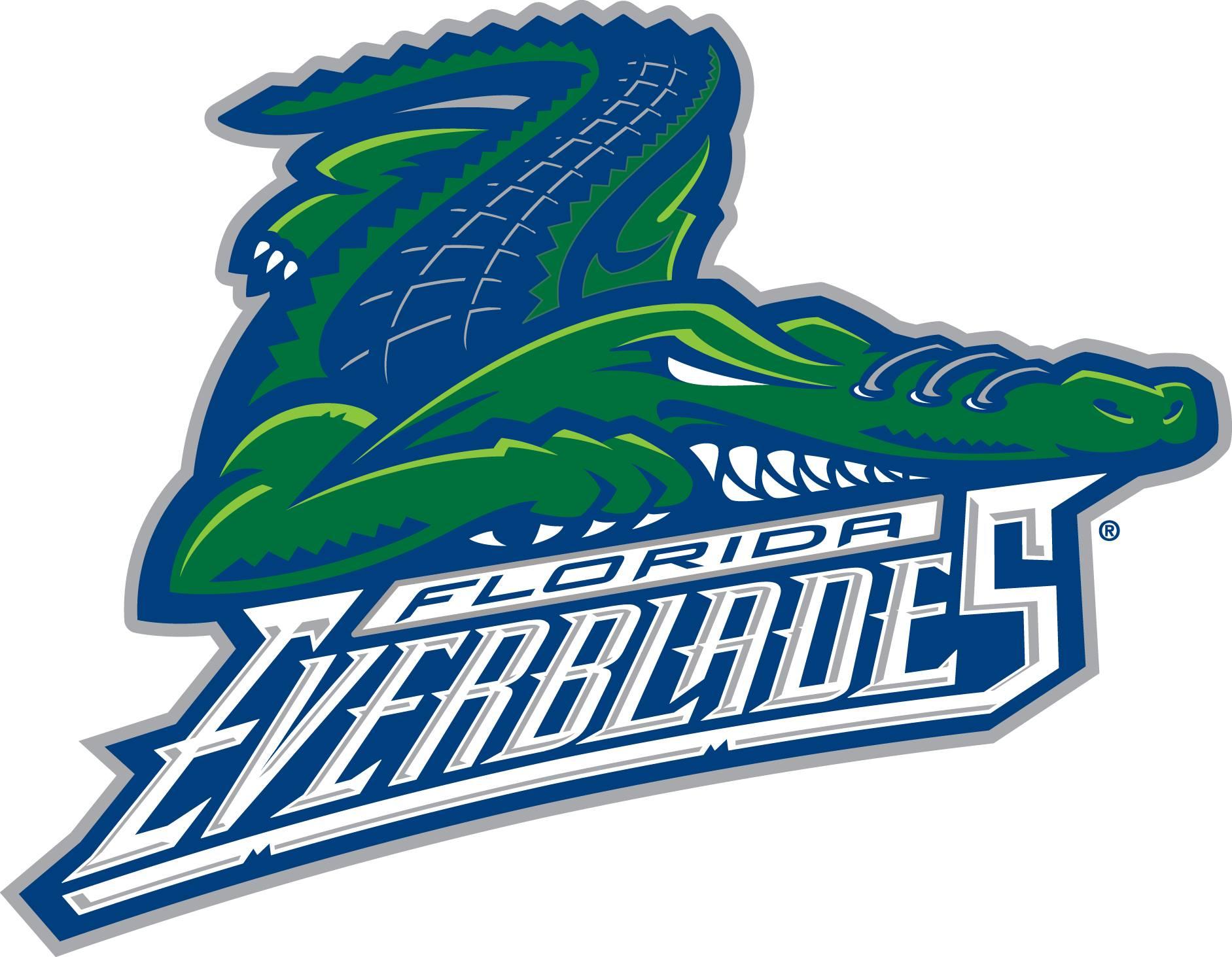 Fleverblades logo