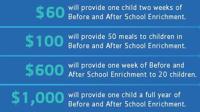 BASE didyouknow