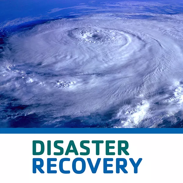 Recovery web